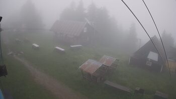 Тростян 13 червня 2024 року, 2024-06-13 16:00