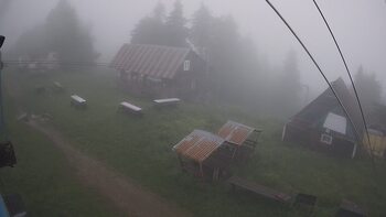 Тростян 14 червня 2024 року, 2024-06-14 10:00