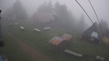 Тростян 14 червня 2024 року, 2024-06-14 13:00