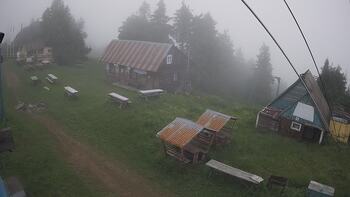 Тростян 14 червня 2024 року, 2024-06-14 16:00