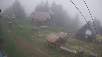 Тростян 23 червня 2024 року, 2024-06-23 10:00