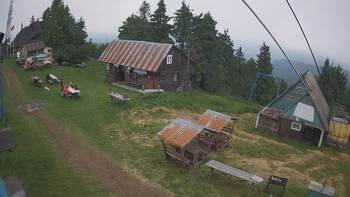 Тростян 23 червня 2024 року, 2024-06-23 13:00