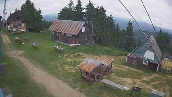 Тростян 25 червня 2024 року, 2024-06-25 10:00