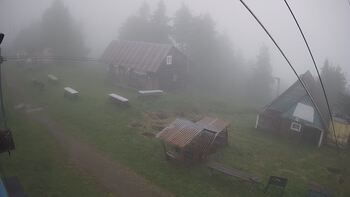 Тростян 27 червня 2024 року, 2024-06-27 16:00