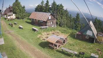 Тростян 29 червня 2024 року, 2024-06-29 10:00