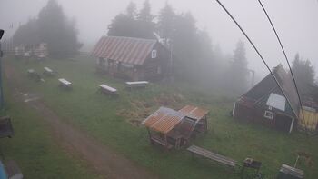 Тростян 2 липня 2024 року, 2024-07-02 10:00