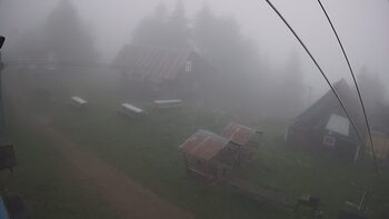 Тростян 3 серпня 2024 року, 2024-08-03 10:00