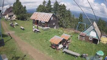 Тростян 4 серпня 2024 року, 2024-08-04 13:00