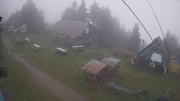 Тростян 11 вересня 2024 року, 2024-09-11 10:00