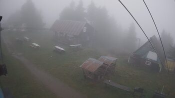 Тростян 11 вересня 2024 року, 2024-09-11 13:00