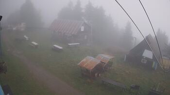 Тростян 14 вересня 2024 року, 2024-09-14 10:00