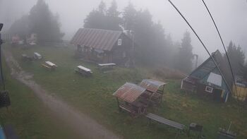 Тростян 14 вересня 2024 року, 2024-09-14 16:00