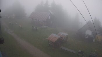 Тростян 16 вересня 2024 року, 2024-09-16 10:00