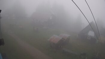 Тростян 16 вересня 2024 року, 2024-09-16 13:00
