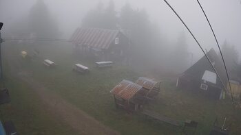 Тростян 26 вересня 2024 року, 2024-09-26 10:00