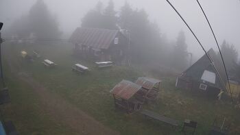 Тростян 27 вересня 2024 року, 2024-09-27 16:00