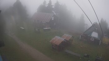Тростян 29 вересня 2024 року, 2024-09-29 10:00