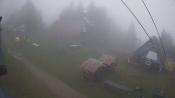 Тростян 29 вересня 2024 року, 2024-09-29 13:00