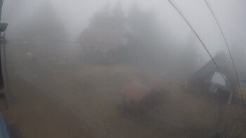 Тростян 5 квітня 2025 року, 2025-04-05 16:00