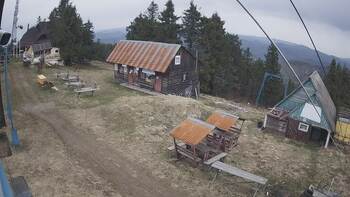 Тростян 17 квітня 2025 року, 2025-04-17 10:00