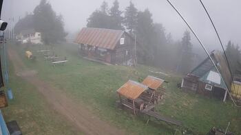 Тростян 26 квітня 2025 року, 2025-04-26 10:00