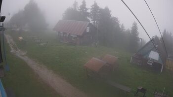 Тростян 29 травня 2025 року, 2025-05-29 13:00
