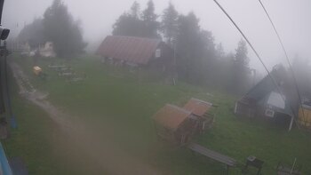 Тростян 29 травня 2025 року, 2025-05-29 16:00