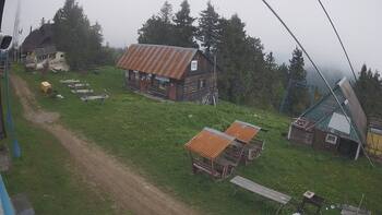 Тростян 31 травня 2025 року, 2025-05-31 10:00