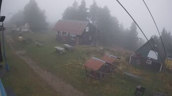 Тростян 24 жовтня 2025 року, 2025-10-24 10:00