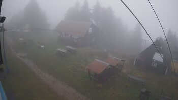 Тростян 24 жовтня 2025 року, 2025-10-24 13:00