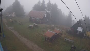 Тростян 24 жовтня 2025 року, 2025-10-24 16:00