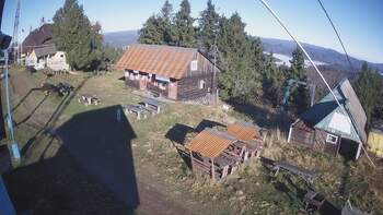 Тростян 7 листопада 2025 року, 2025-11-07 10:00