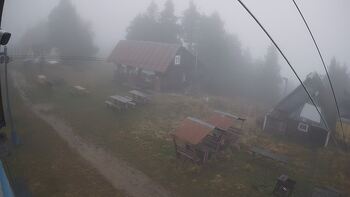 Тростян 11 листопада 2025 року, 2025-11-11 10:00