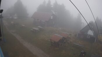 Тростян 11 листопада 2025 року, 2025-11-11 16:00