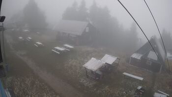 Тростян 12 листопада 2025 року, 2025-11-12 10:00