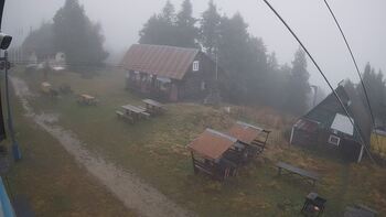 Тростян 12 листопада 2025 року, 2025-11-12 13:00