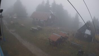 Тростян 12 листопада 2025 року, 2025-11-12 16:00