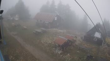 Тростян 13 листопада 2025 року, 2025-11-13 10:00