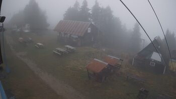 Тростян 13 листопада 2025 року, 2025-11-13 13:00