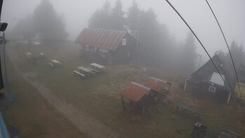 Тростян 13 листопада 2025 року, 2025-11-13 16:00