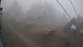 Тростян 14 листопада 2025 року, 2025-11-14 10:00