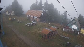 Тростян 14 листопада 2025 року, 2025-11-14 13:00