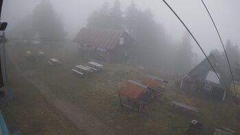 Тростян 14 листопада 2025 року, 2025-11-14 16:00