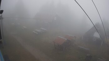 Тростян 15 листопада 2025 року, 2025-11-15 10:00