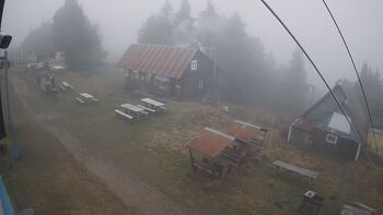 Тростян 15 листопада 2025 року, 2025-11-15 13:00