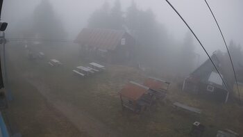 Тростян 15 листопада 2025 року, 2025-11-15 16:00