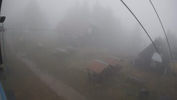 Тростян 16 листопада 2025 року, 2025-11-16 10:00