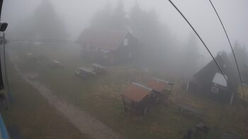 Тростян 16 листопада 2025 року, 2025-11-16 13:00