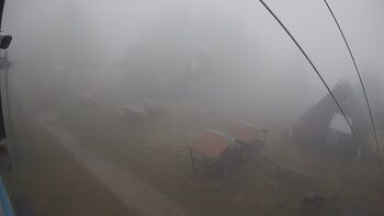 Тростян 16 листопада 2025 року, 2025-11-16 16:00