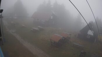 Тростян 17 листопада 2025 року, 2025-11-17 10:00